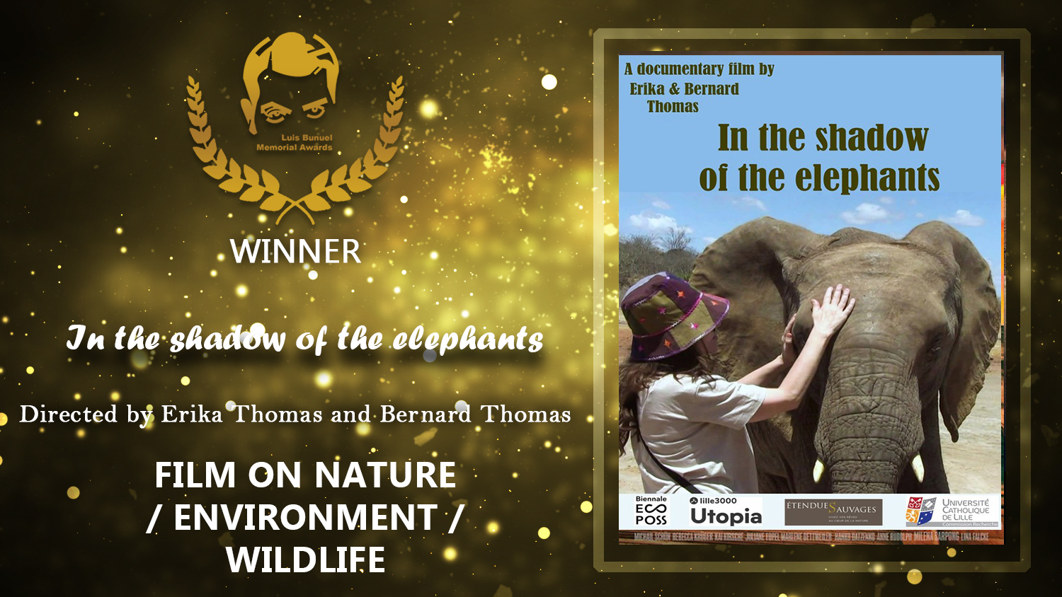 In the shadow of the elephants Film on Nature Environment Wildlife